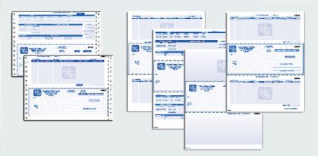 Passport Software Printing